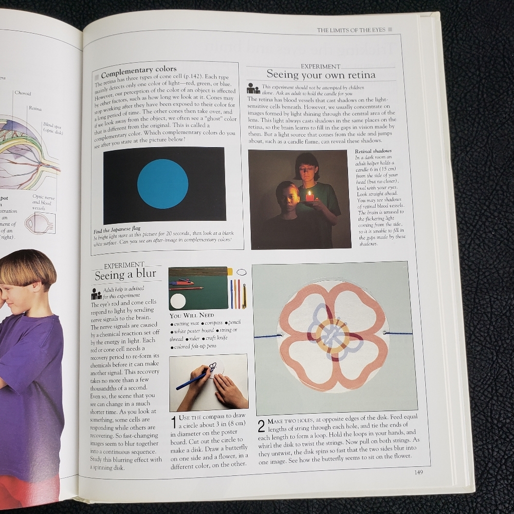 How the Body Works Book! - Picture 8 of 11